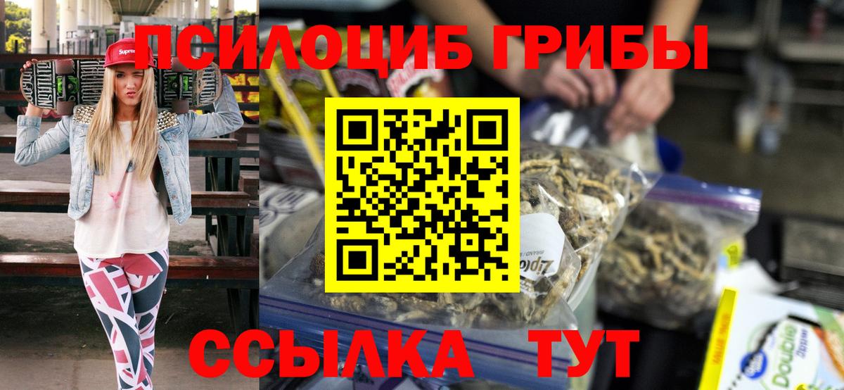 Шадринск  Галлюциногенные грибы MAGIC MUSHROOMS  Вход с VPN 
